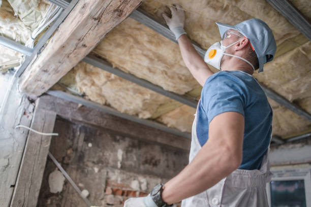 Best Commercial Insulation Contractor  in Coldspring, TX